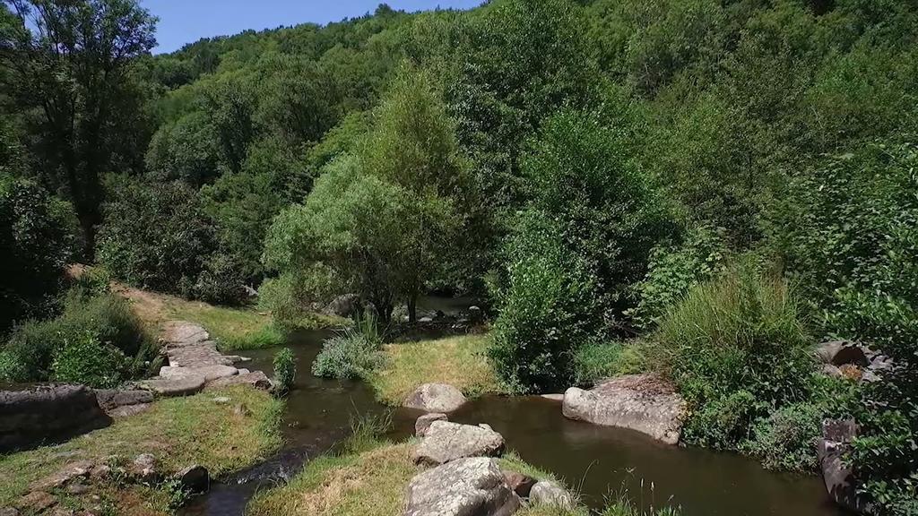 Moulin De Record Βίλα Ferrieres  Εξωτερικό φωτογραφία