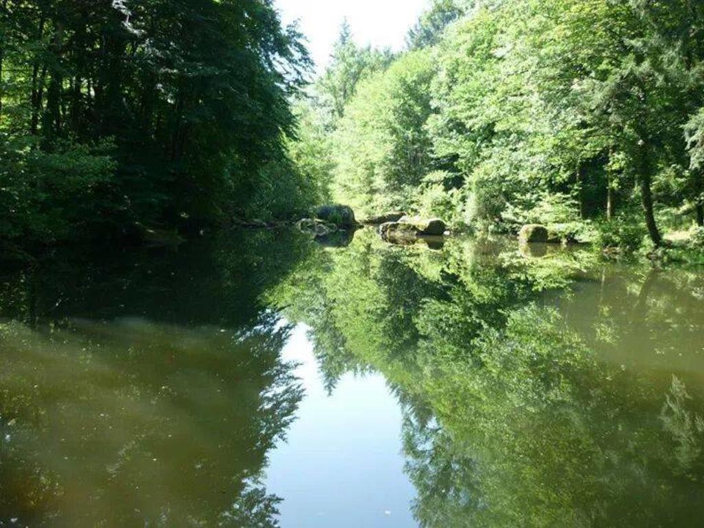 Moulin De Record Βίλα Ferrieres  Εξωτερικό φωτογραφία