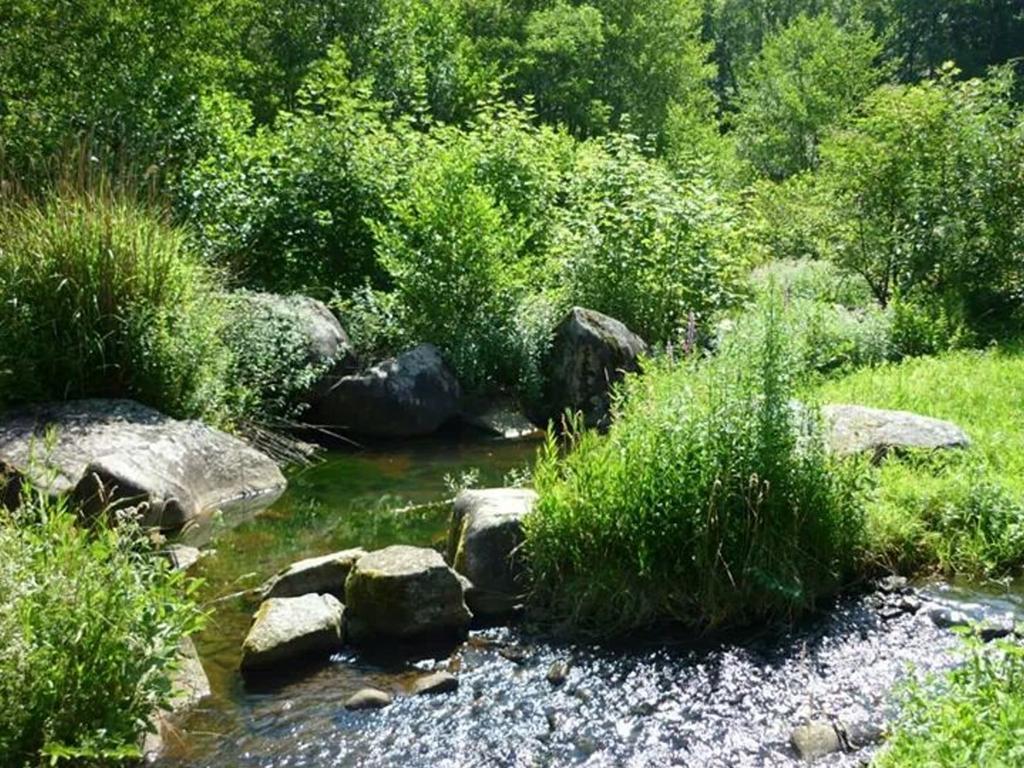 Moulin De Record Βίλα Ferrieres  Εξωτερικό φωτογραφία